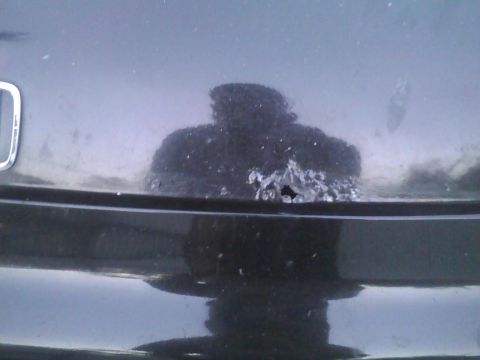 2003 Ford Crown Victoria - The trunk lid of a car shows significant damage and a distorted reflection.