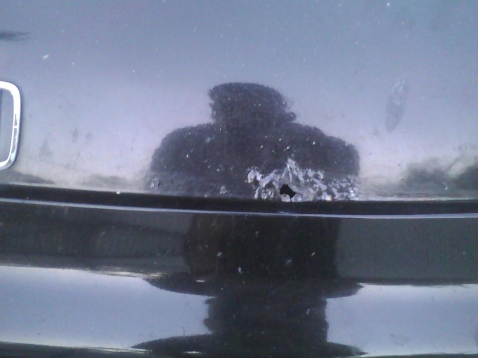 Close-up of a car's trunk lid showing damage and a reflection