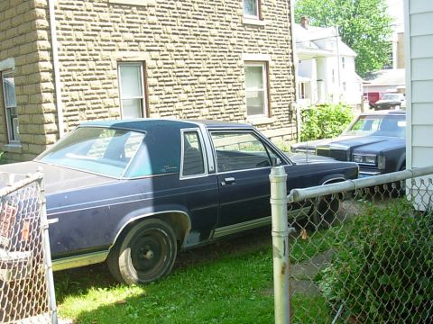 1985 Ford Crown Victoria LTD - Two sedans are parked in a residential area. The front car is dark blue with a vinyl roof.