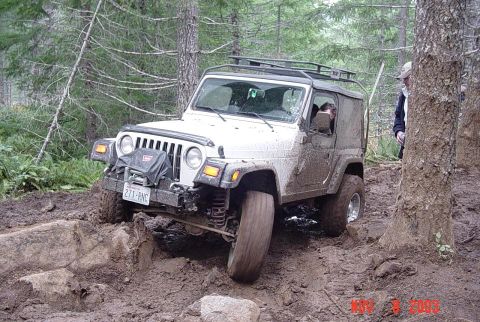 1989 Ford Bronco - Same rock