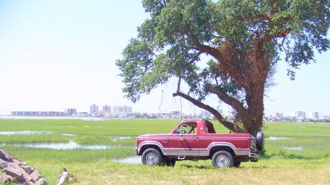 1984 Ford Bronco photo