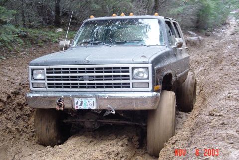 1989 Ford Bronco - Then the heavy chevy came up
