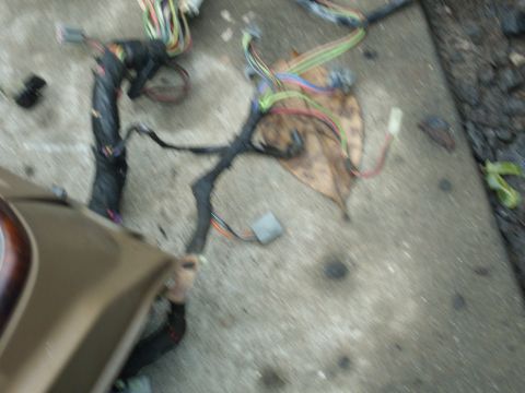 1988 Ford Bronco - A complex vehicle wiring harness is spread out on a concrete surface, with a portion of a tan vehicle panel visible.