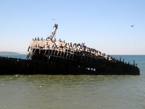 1996 Ford Bronco - A derelict ship rests partially submerged in the ocean, its structure occupied by many birds.