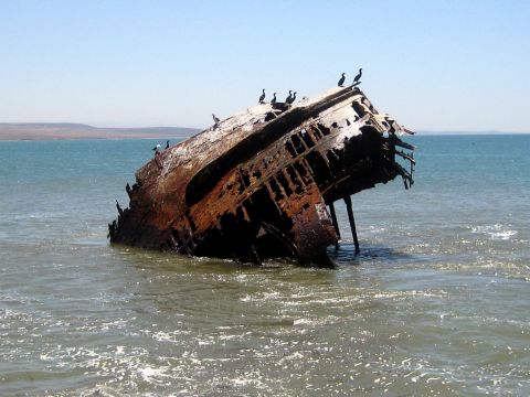 1996 Ford Bronco - A rusted shipwreck sits partially submerged in the ocean, with several birds resting on its debris.