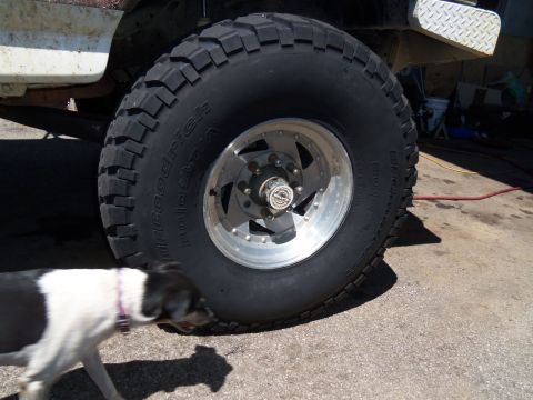 1989 Ford Bronco - A close-up view of a vehicle's tire and wheel assembly, with a dog in the foreground.