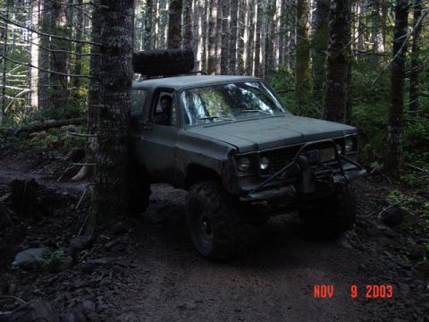 1989 Ford Bronco - Big Blazer in the trees