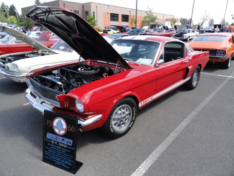 1964 Ford Fairlane - A red 1966 Shelby GT 350 is displayed with its hood open at a car show.