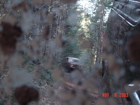 1989 Ford Bronco - Silly pic