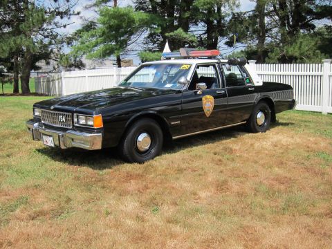 1991 Ford LTD Crown Victoria - black 1980s police cruiser with a roof light bar and gold department shield on the door, parked on a grassy field.