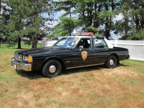 1991 Ford LTD Crown Victoria - Side view of a black full-size police cruiser with a gold door emblem and red roof light, parked on grass near a fence.