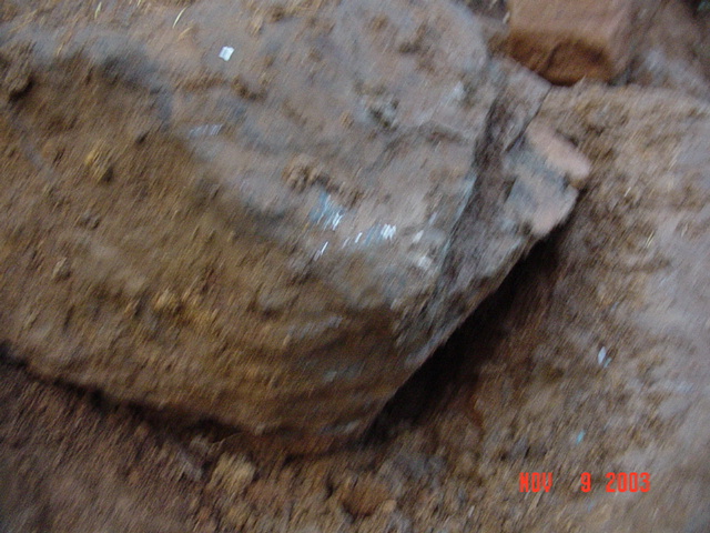 Close-up of a large wet boulder embedded in churned reddish mud and dirt