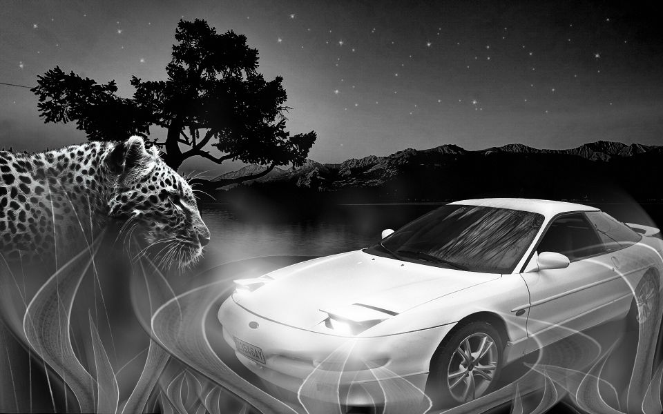 1995 Ford Probe “alejandro_gsxr”