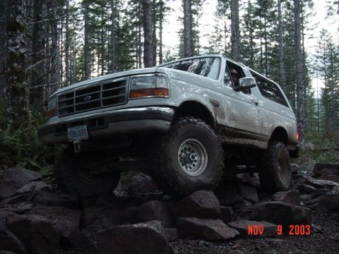 1989 Ford Bronco - Alvie too