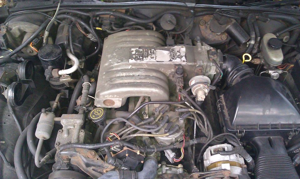 V8 engine bay showing intake manifold, distributor and black plastic air box