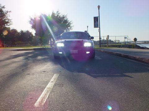 2003 Ford Crown Victoria - Front view of a dark sedan with lights lit, bright sun flare washing the scene near the harbor