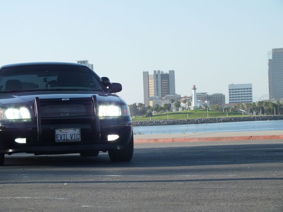 Front quarter of black Crown Victoria with grille guard and lit lights, EVIL VIC plate, lighthouse