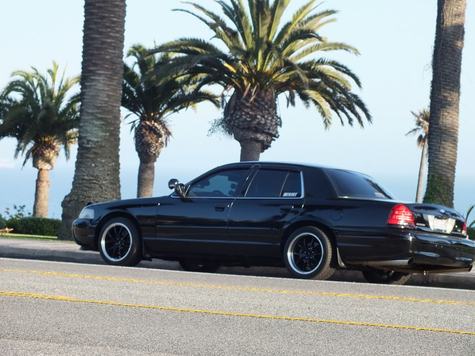 Black sedan front-three-quarter view at curb with palm trees and ocean horizon