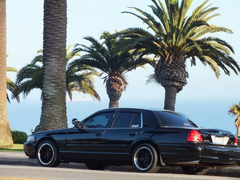 2003 Ford Crown Victoria - Rear quarter of a black sedan with red taillights, palm trees and sea in the background.