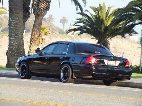 2003 Ford Crown Victoria - Rear of a black four-door with California plate, palms and hillside behind it.
