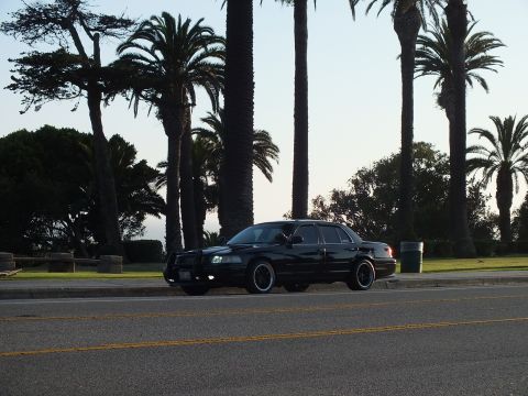2003 Ford Crown Victoria - Distant black sedan fitted with a brush guard, framed by towering palms at dusk.