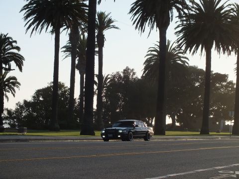2003 Ford Crown Victoria - Backlit black sedan crossing a palm-lined boulevard in evening light.