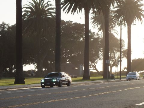 2003 Ford Crown Victoria - Black sedan headlights glowing as it moves down a sunlit palm-lined road.