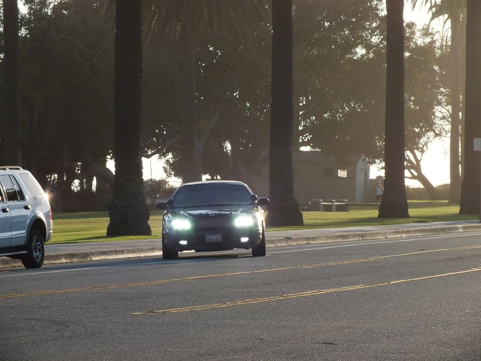 Black sedan front view headlights on with SUV passing on palm-lined road