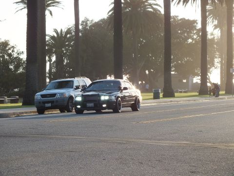 2003 Ford Crown Victoria - Black sedan beside a lighter SUV on a boulevard, sun flaring through palms.