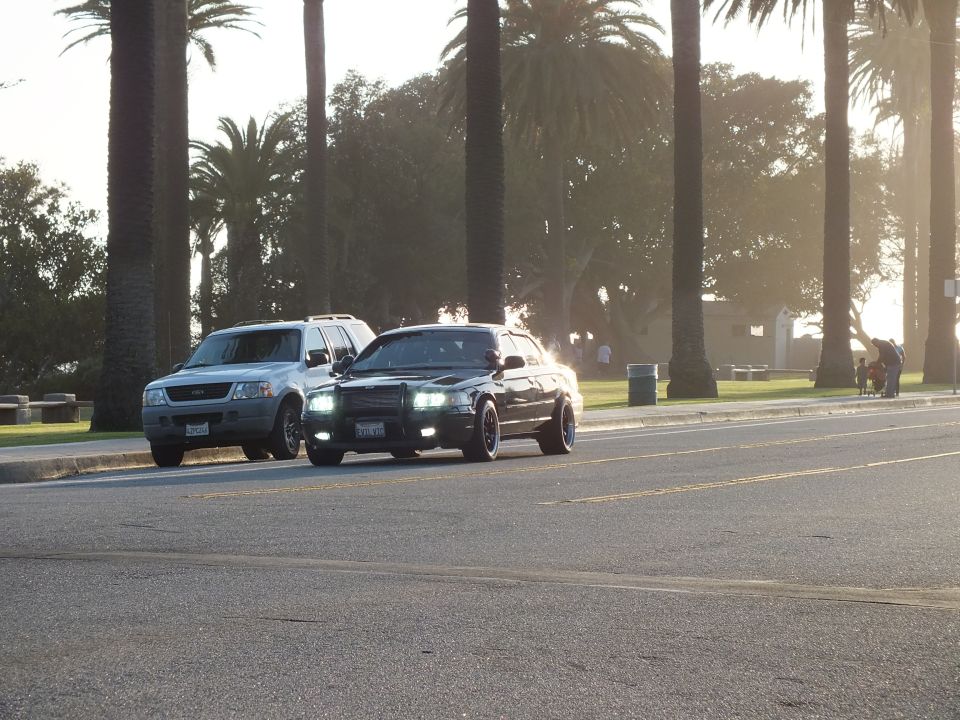 Black sedan and silver SUV side by side on sunlit palm-lined street