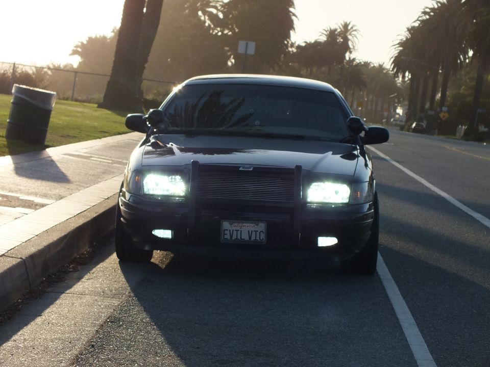 Black Ford Crown Victoria front with mesh grille and EVIL VIC license plate