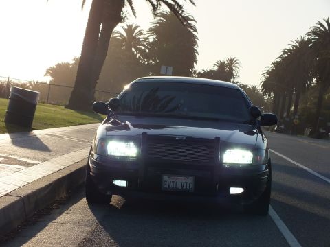 2003 Ford Crown Victoria - Front of a black sedan with push bar and EVIL VIC plate, palms behind at sunset.
