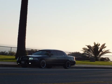 2003 Ford Crown Victoria - Black sedan parked beside a palm trunk, ocean horizon fading into evening.