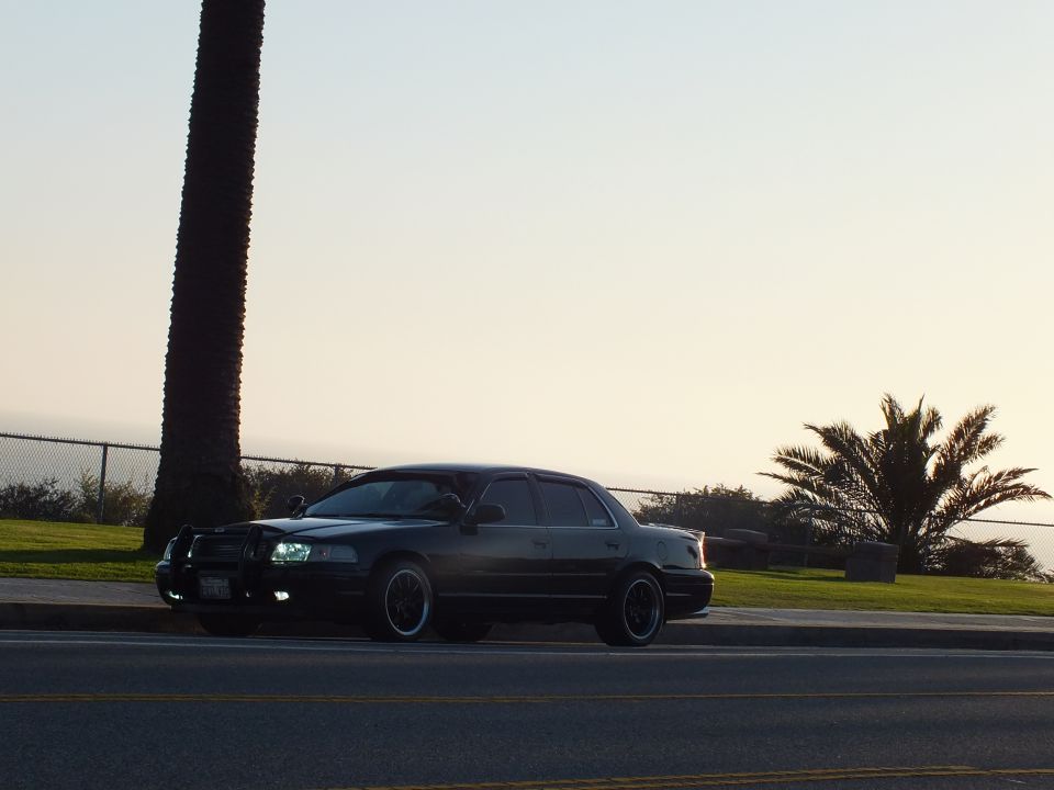 Black sedan front-three-quarter silhouette under palm tree at dusk