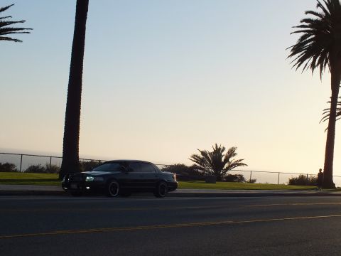2003 Ford Crown Victoria - Backlit black sedan parked roadside, palms and faint sea horizon behind.