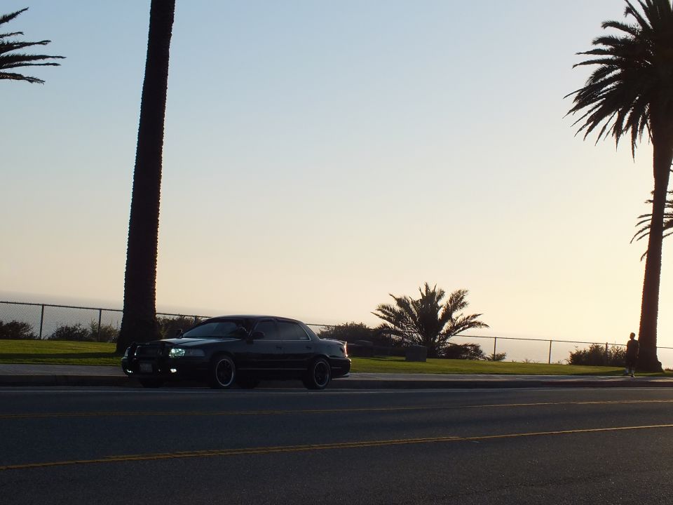 Black sedan in silhouette beside palm tree on coastal road at sunset