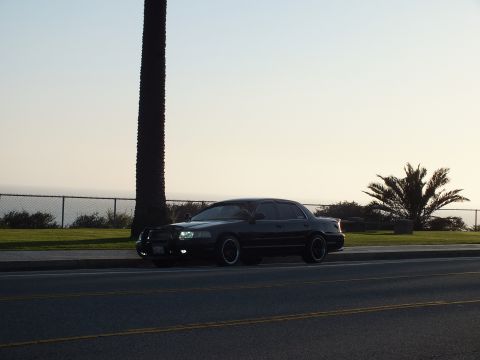 2003 Ford Crown Victoria - Black sedan parked in palm shade along a coastal road at golden hour.