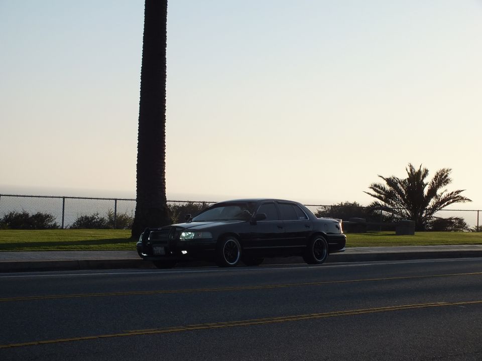 Black sedan side-front view shaded under palm tree by oceanfront fence