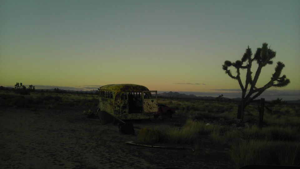old yellow school bus in desert landscape at dusk, Joshua tree nearby