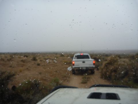 1985 Toyota 4Runner