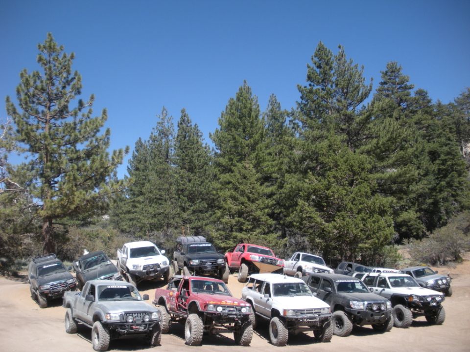 Group of modified off-road trucks and SUVs parked on a dirt lot with trees and blue sky