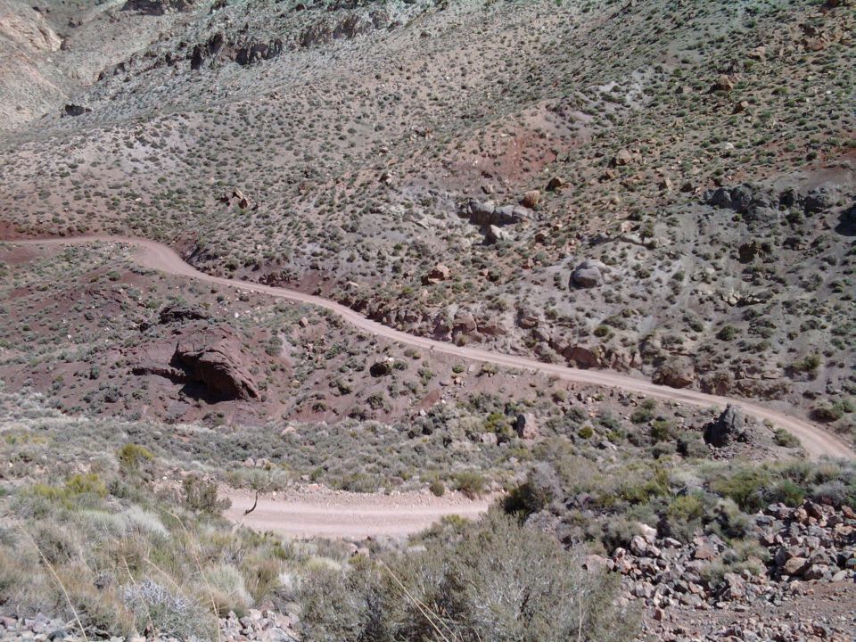 Desert landscape with a winding dirt road through hills and sparse vegetation