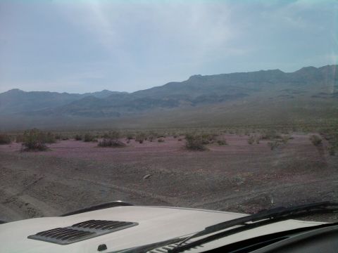 1985 Toyota 4Runner - View from inside a vehicle driving through a desert landscape with mountains on the horizon.