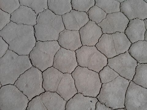 1985 Toyota 4Runner - Dry earth shows a polygonal cracking pattern from desiccation.