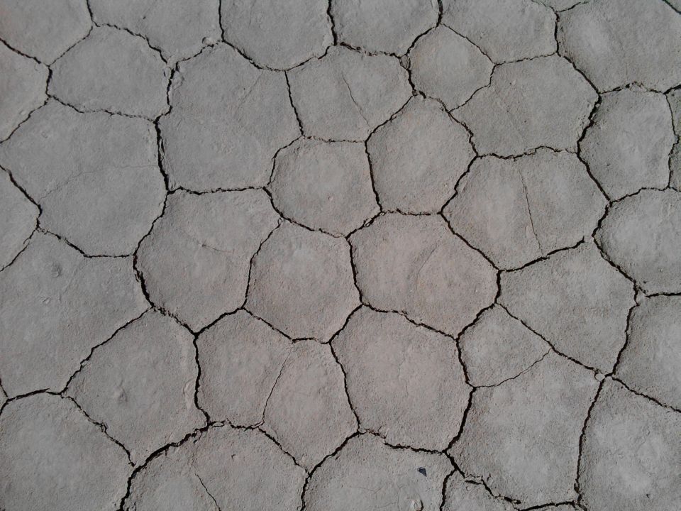 Cracked dry earth pattern