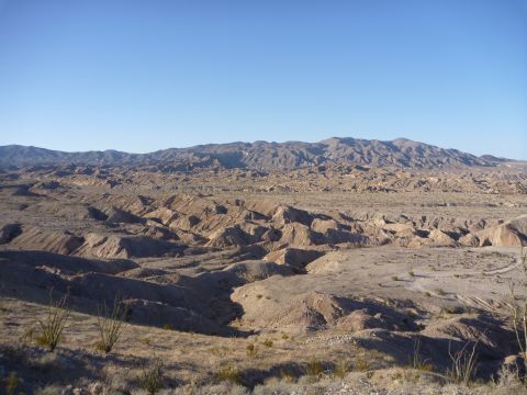 1985 Toyota 4Runner - Expansive desert terrain under a clear blue sky, with hills and sparse vegetation.