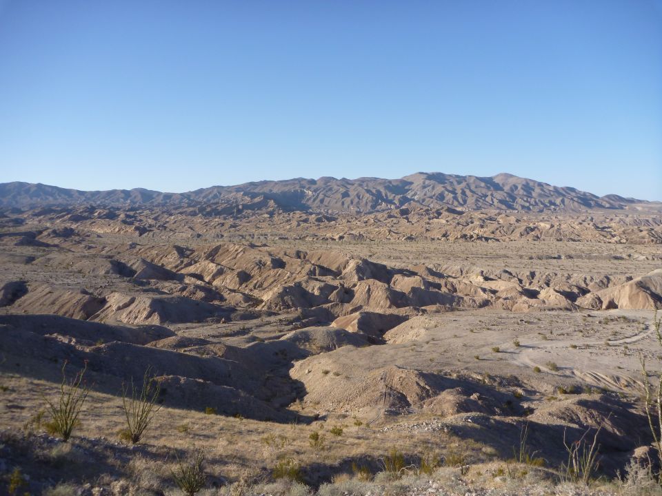 Desert landscape with mountains in the background and dry brush in the foreground