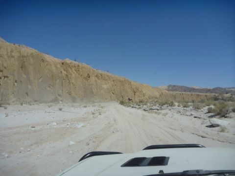 1985 Toyota 4Runner - Driving on a dusty desert road with a large cliff on the side under a clear blue sky.