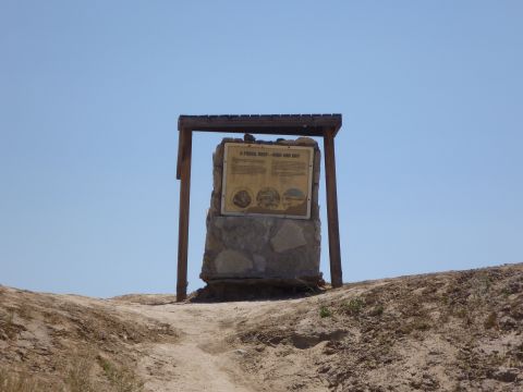 1985 Toyota 4Runner - An informational sign about a fossil reef is mounted on a stone monument in a desert environment, with a wooden frame overhead.