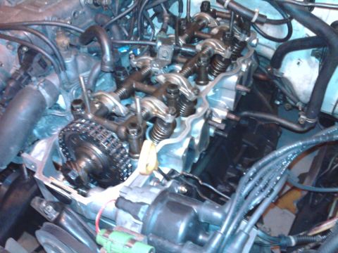 1985 Toyota 4Runner - Close-up of engine components, including the timing chain and valve train, with visible hoses and wiring.